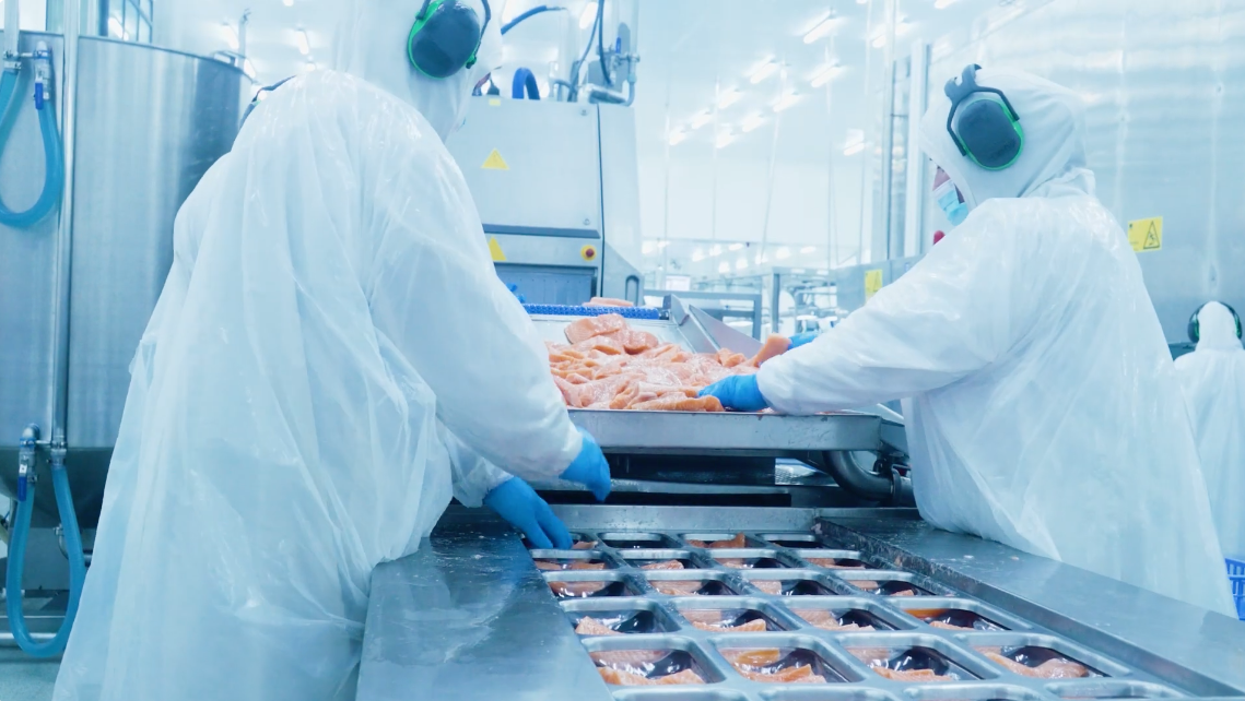 Trabajadores con protección sanitaria en una línea de procesamiento de salmón